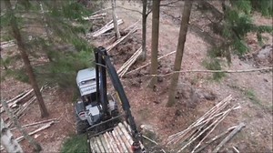 Efficient Wood Transport in the Forest by Heavy Duty Vehicle