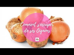 DIY : COMMENT S’OCCUPER DE SES OIGNONS??? TUTO