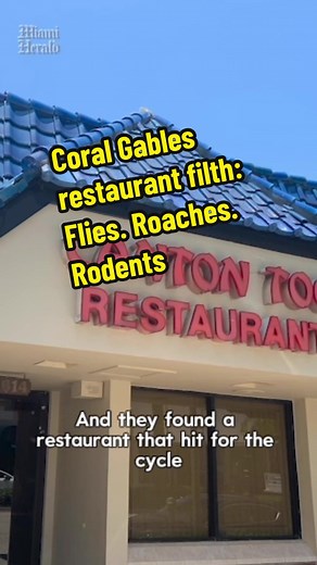 A restaurant a few blocks off Coral Gables’ Miracle Mile gets a lot of foot traffic from humans — but apparently also from roaches, rodents and flies. Unfortunately for Canton Chinese Restaurant, aka Canton Too Restaurant, a state inspector found filth as ubiquitous as vermin on Monday. An inspection prompted by a customer complaint to the Florida Department of Business and Professional Regulation uncovered 26 violations, eight of which were High Priority, at 2614 Ponce de Leon. 🔗Read the full 