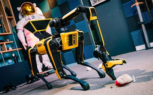【双语】亚当萨维奇带你测试波士顿动力Spot的机械臂 - Adam Savage Tests Spot's New Robot Arm!