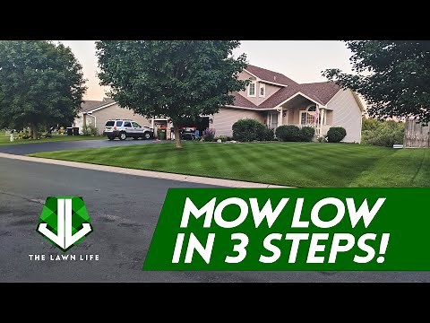How to Start Cutting Your Grass Short in 3 Easy Steps!!
