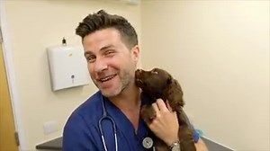 It's finally here! The BRAND NEW Pets Factor series is starting TODAY on CBBC at 4.35pm TODAY!! And you can catch up on the BBC iPlayer! The WHOLE series is going out every day this week and next week, so you can get your fix! | Cat The Vet