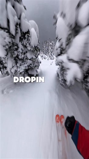 Meet @joeschwartzy: former pro biker, longtime ACMG Ski Guide, and all-round mountain crusher. Safe to say, he’s not easy on his gear. We chased him into the Whistler backcountry to hunt for pow and get the lowdown on @strafeouterwear’s Nomad kit. A 3L shell jacket and pant combo that he swears by. Check out Strafe’s Nomad kit online (link in bio) or in our US stores 👀 | evo