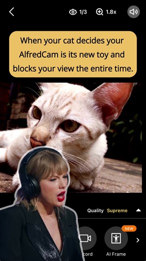 Monitoreo del hogar: ¡mi gato no me deja! 😂