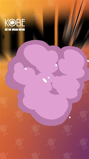 🧒🍱 ¡Llegó un Súper Menú para los Súper Kids! ✨ Cada kombo incluye un Kobito diferente… ¡colecciónalos todos antes de que se agoten! 👀 *Disponible desde el 31 de mayo. hasta agotar stock. Pide tu Súper Kids Menú en restaurantes, islas y por nuestros canales de delivery: 1800-MIKOBE / 02-2211600 / App-Web Kobe / WhatsApp - 098 816 5539 | KOBE sushi & rolls