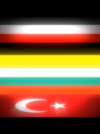 Central Powers in WW1: An Engaging Edit