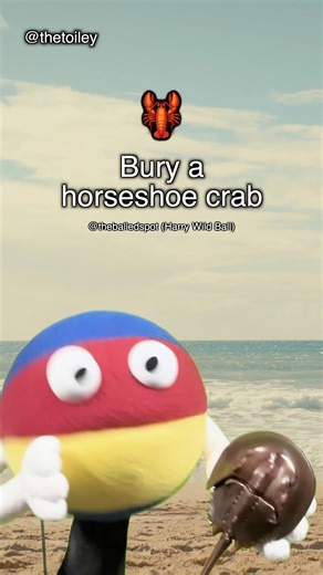 Toiley T. Paper on Instagram: "🤣💩🧻 Poop Word of the Day Compilation! Toiley T. Paper #poopwordoftheday #compilation #comedy 508-527 Appearances by @theballedspot and @PirateFishyFeesh Edits by @sstaver"