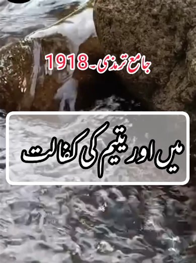 Explore the Wisdom in Best Hadees Mubarak