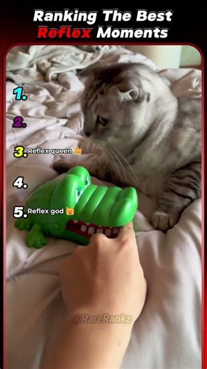 Ranking The Best Reflex Moments #shorts #ranking #tiktok