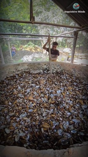 Step-by-Step Line Making Process — Watch Till the End for the Amazing Result! . . . . . #LineMaking #ArtProcess #DrawingTutorial #StepByStepArt #WatchTillTheEnd #CreativeProcess #ArtVideo #ArtLovers #HowToDraw #LineArt #DrawingProcess #SatisfyingArt #ArtCreation #LearnDrawing #ArtInspiration #ArtReel #ArtistLife #ArtisticVibes #ArtEducation #HandmadeArt #Sketching #DrawingSkills #ProcessVideo #ArtWork #CreativeMind | Inquisitive Minds | Facebook