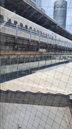 【JR新横浜駅で新幹線を見ながら】JR横浜線へ「狭さを感じるエスカレーター」JR東日本 JR東海 横浜観光横浜市港北区