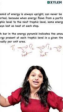Pyramid of Energy : Important Topic !! | Xylem Plus Two