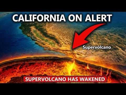 Long Valley Supervolcano Update | Mysterious Dead Trees at Mommoth Mountain