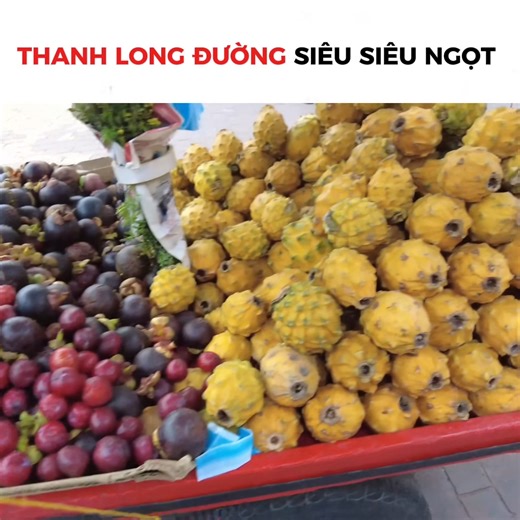 369K views · 7.7K reactions | Thanh long vàng có khác gì thanh long đỏ??? #khampha #trainghiem #LNC #chauphi #LaiNguaChan | Lại Ngứa Chân | Facebook