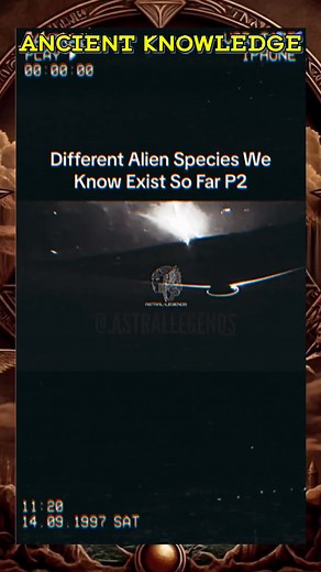 DIFFERENT ALIEN SPECIES P2 #awakening #conspiracies #matrix #vibration #lawofattraction #ancientknowledge2023 | Escape the Matrix