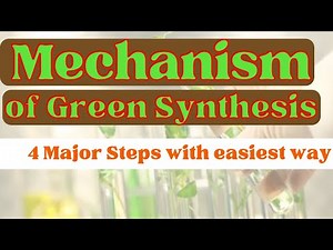 Mechanism of Green Synthesis|Four major steps in Green synthesis|Biological and plant extract Synth