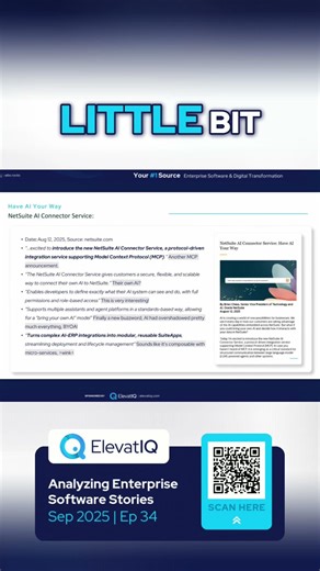 #8 NetSuite MCP_ Security Risks Exposed! Fix Now!