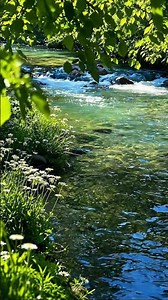 Deep Relaxation Music for Sleep & Peace #relaxingmusic #healingmusic #calmmind #whitelotusstudio
