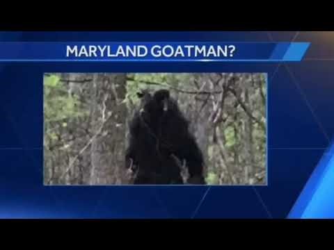 #DOGMAN (INTERVIEW) MARYLAND SUB SHARE HIS RUN-IN W/ GOATMAN W/ NEWS & PHOTO EVIDENCE