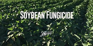 Xyway has become a standard grower practice for Kelly's corn acres, but this season he will be trialing the systemic fungicide on his bean acres. Here is what you need to know about applications. FMC Ag US | XtremeAg.farm