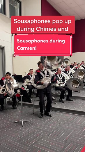 Unique Sousaphone Cover Featuring Ohio State Marching Band