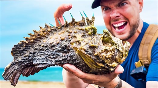 Man Gets Purposely Stung by a Highly Toxic Stone Fish