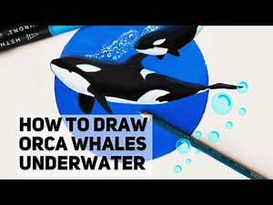 How to draw a Killer Whale (Orca) - easy step by step tutorial