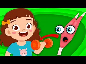 The Muscle Song! | Human Body Songs For Kids | KLT Anatomy