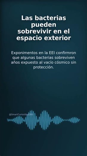 Las bacterias pueden sobrevivir en el espacio exterior