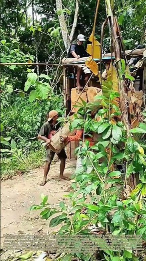 Pulling Heavy Logs: How Truck Momentum Loads Timber Without Lifting Equipment