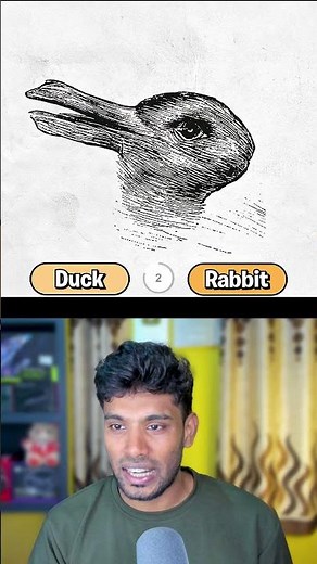 What Did You See First? Optical Illusion Test