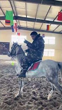 Title: Master the Art of Circling Horses: A Beginner's Guide