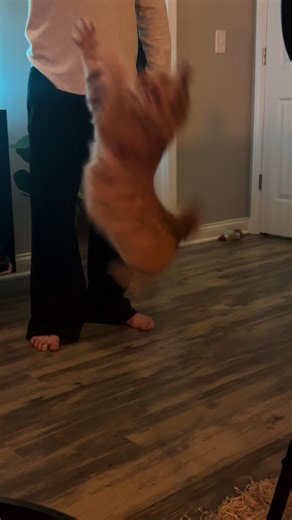 Adorable Little Ballerina Performance