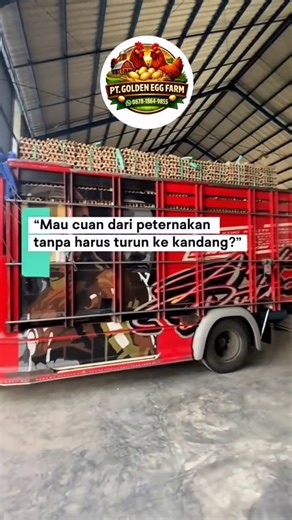 @pt.golden_egg_farm | 🐔 MAU CUAN DARI PETERNAKAN TANPA TURUN KE KANDANG? Sekarang saatnya uang Anda bekerja & berkembang 💰 Tanpa ribet. Tanpa pengalaman... | Instagram