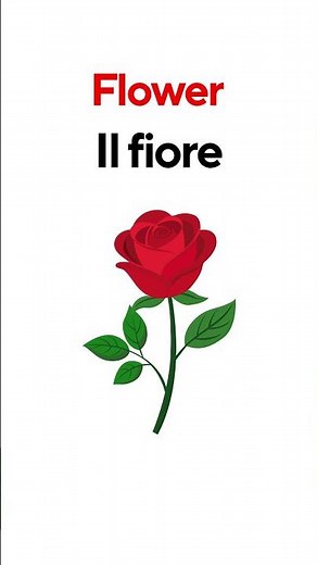 Quick Italian Words for Daily Life #learnitalian #italianlessons #basics