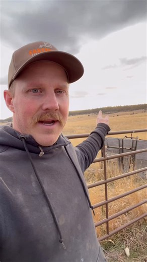 John “Danger” Stene on Instagram: "I’ve never been a trail cam guy, but I’ve been interested in keeping track of the wildlife on the family property. Knowing what’s around, and what their habits are. I’ve bought cheap cameras in the past that either don’t take photos fast enough, or fill the card with hundreds of photos of nothing on a windy day. Plus I didn’t want to pay for more than one cell plan, so the Cuddeback system seemed like a good option. And with the ability to keep adding cameras, 