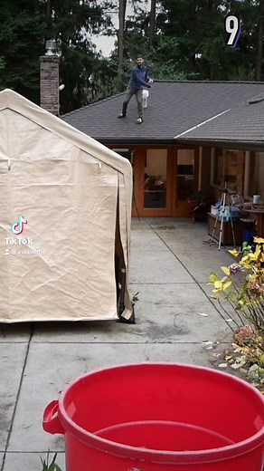 7.1K views · 18 reactions | Top Wiffle Ball Trick Shots 9-5! #worldtrickshotday #wiffleball #dingersornothing Whistle Sports | AWA Wiffle Ball League | Facebook