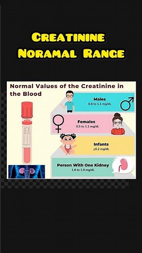 Creatinine normal level in blood #creatinine #creatininetest #shotsfeed