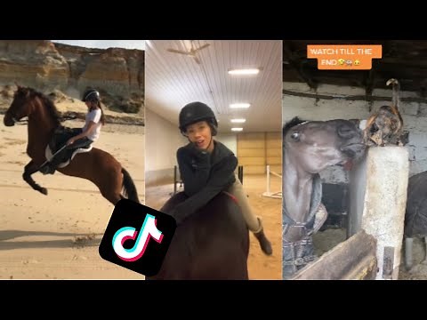 TikTok Horse Fails/Falls compilation