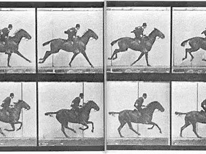 Rider Strong on Instagram: "What was the first motion picture? We started a kids’ film night at our house with that question. Guesses ranged from Lumière Bros to “Steamboat Willie” (curse you, Disney myth-making). But no — the answer is a horse. A bet. A question about galloping hooves. We watched that 30-second clip. Then, a wordless animated short called Spring. Then The Black Stallion, a film I now consider essential for kids — pure visual storytelling, peril without trauma, cinema as bond. I