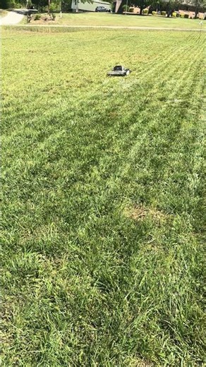 Lymow One Plus Striping Field
