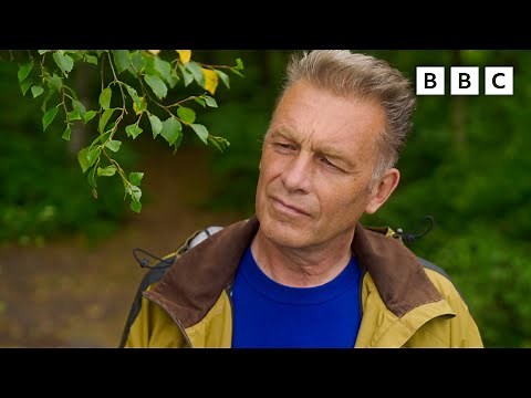 Demystifying autism and overstimulation | Inside Our Autistic Minds