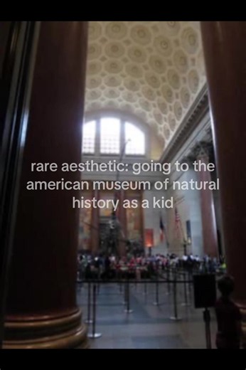 Rare Aesthetic: Visiting AMNH as a Kid on a Rainy Day in NYC