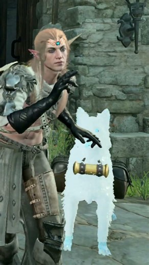 🍕 MONK and others #baldursgate3 #bg3 #mods #shorts