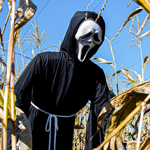 Making Scream Scarecrow that floats in the air! | Crafty Panda