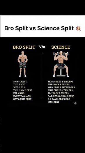 Full Breakdown: The Most Effective Workout Split for Muscle Gains