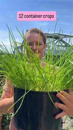 Think you don’t have space to grow food? Let me prove you wrong. Here are 12 of my favourite space efficient food growing projects - all of which you can find in my book ‘Give it A Grow’ which you can order via the link in my bio. Make 2026 the year you make your food growing dreams a reality. It doesn’t have to be complicated you just have to start somewhere! What are your favourite foods to grow in containers? #gardeningforbeginners #growfood #giveitagrow | Marfskitchengarden