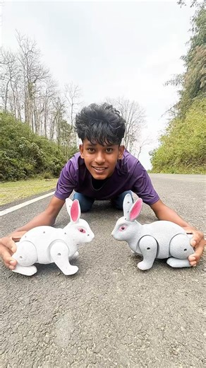 Rc remote control Rabbit unboxcing