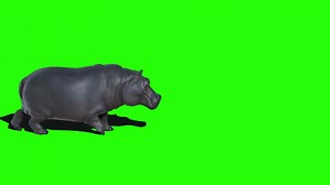 Download Zoo Animals Walking Together Green Screen for free