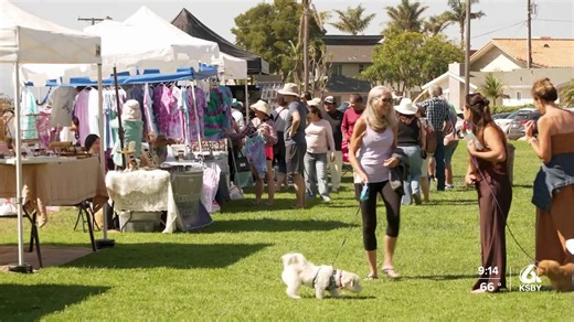 Community members attend art in the park event in Shell Beach